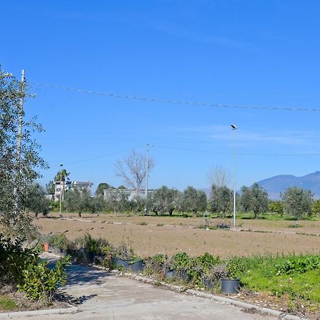 Sant'Angelo in Formis Don Peppe Rooms : Villaggio Green מראה חיצוני תמונה