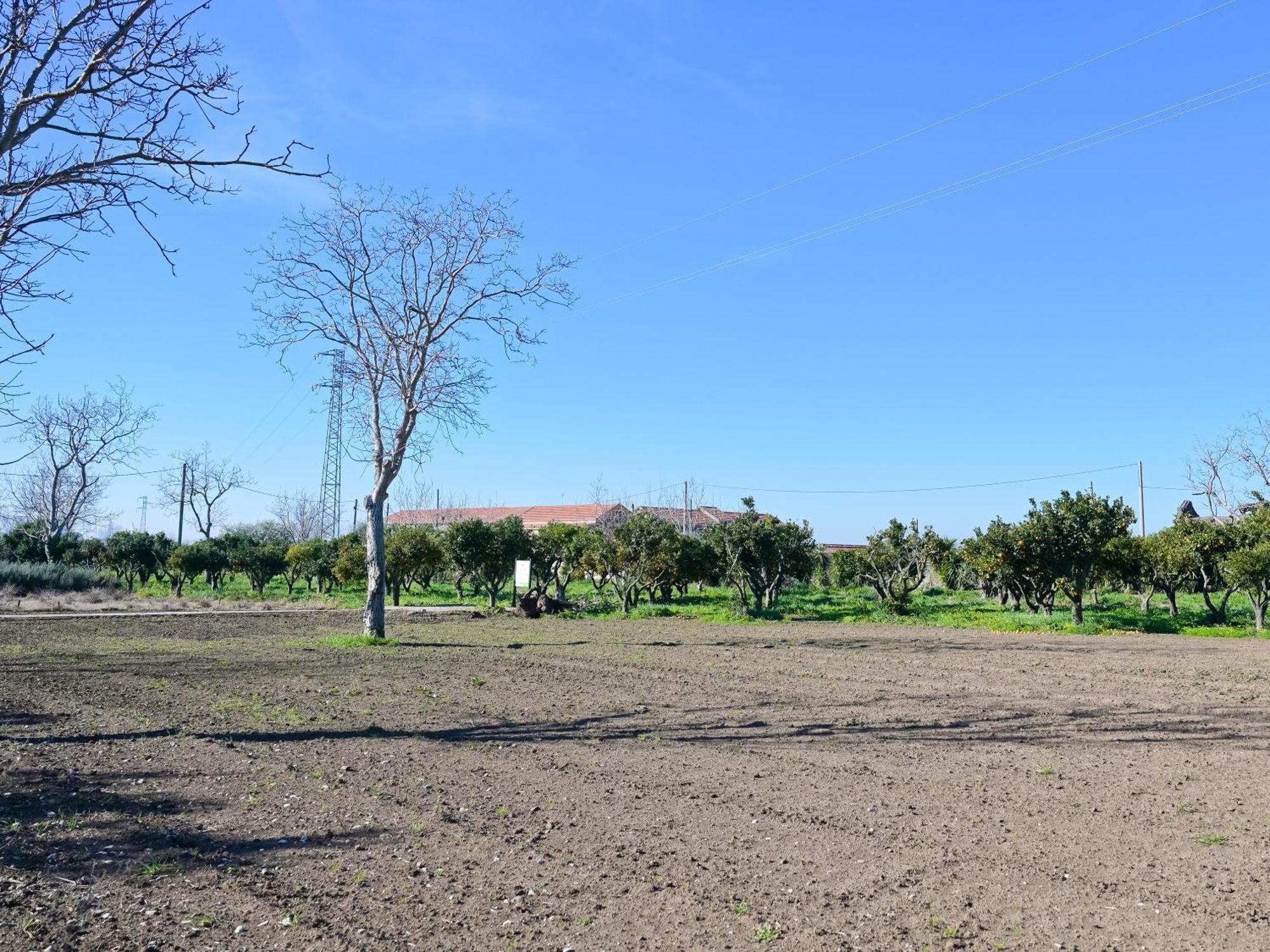 Sant'Angelo in Formis Don Peppe Rooms : Villaggio Green מראה חיצוני תמונה